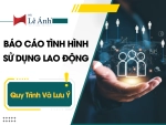 Báo Cáo Tình Hình Sử Dụng Lao Động