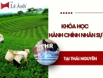 Khóa Học Hành Chính Nhân Sự Tại Thái Nguyên