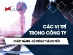 Các vị trí trong công ty