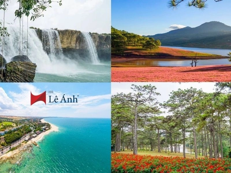 Khóa Học Hành Chính Nhân Sự Tại Lâm Đồng