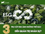 3 Trụ Cột ESG Ảnh Hưởng Thế Nào Đến Quản Trị Nhân Sự