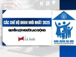 Các Chế Độ BHXH Mới Nhất 2025: Quyền Lợi Người Lao Động