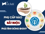 Phụ Cấp Nào Bắt Buộc Phải Tính Đóng BHXH?