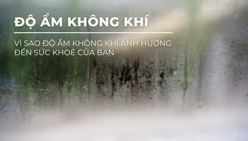 vi-sao-do-am-khong-khi-anh-huong-den-suc-khoe