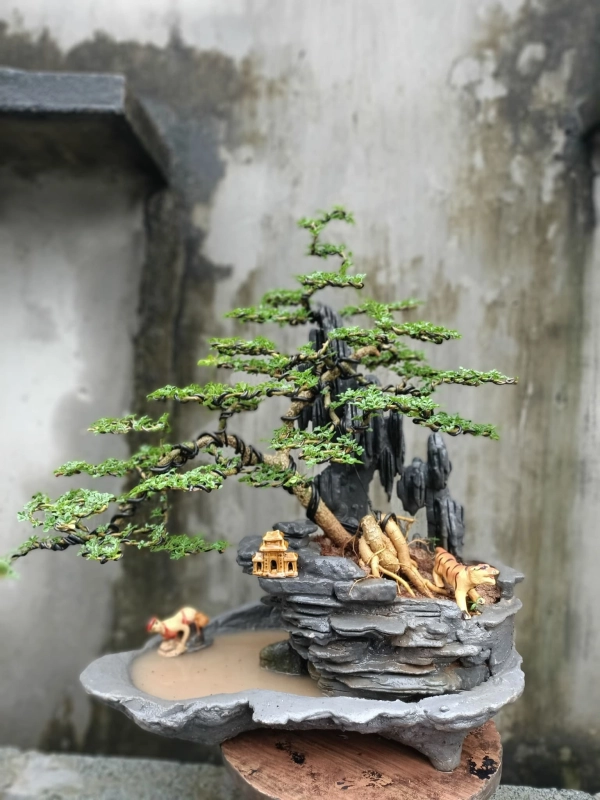 chau-bonsai-15