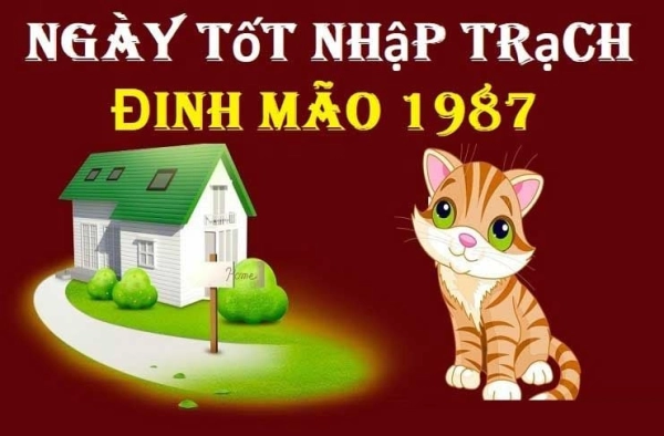 tuoi-dinh-mao