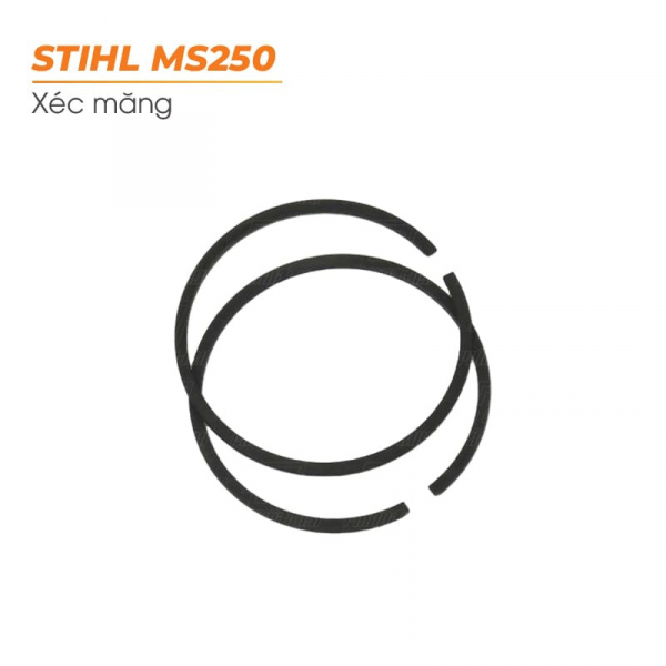 stihl-ms250-xec-mang-may-cua-xich-ms250-425mm-12mm-hop-nhua-1