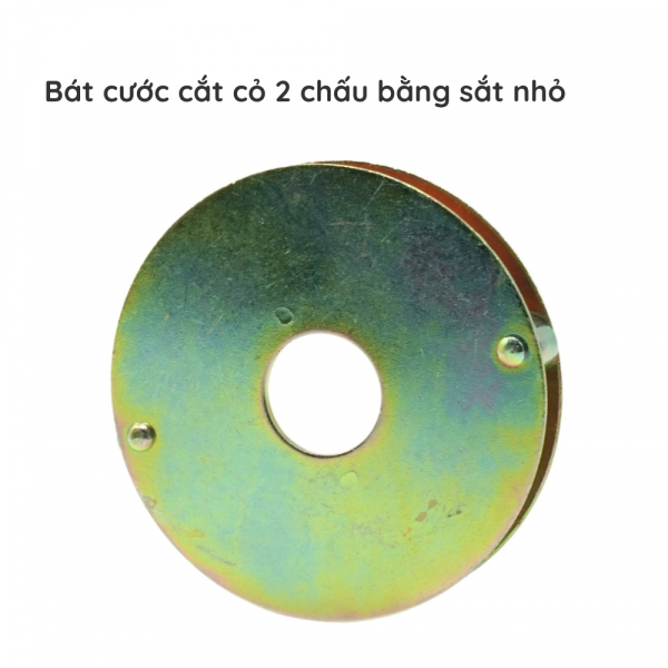 bat-cuoc-cat-co-2-chau-bang-sat-nho-3