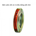bat-cuoc-cat-co-2-chau-bang-sat-nho-4