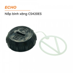 nap-binh-xang-echo-cs420es-1