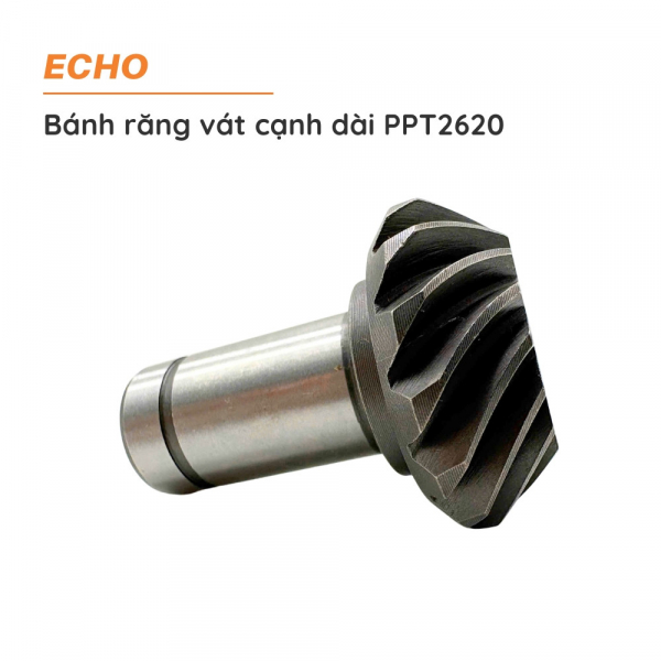 banh-rang-vat-canh-dai-ppt2620-1