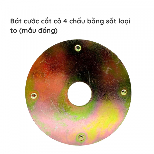bat-cuoc-cat-co-4-chau-2