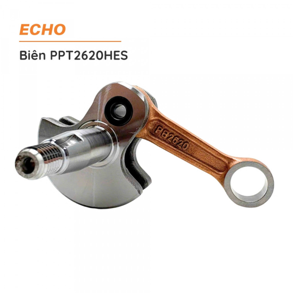 bien-ppt2620hes-1