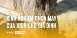 kinh-nghiem-chon-may-cua-xich-cho-gia-dinh