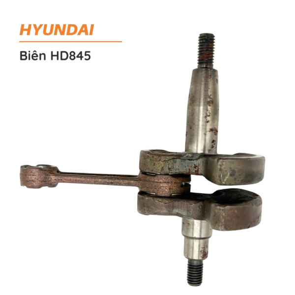 bien-hd845-2