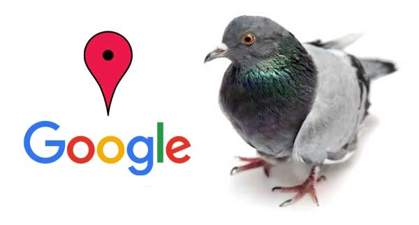 thuat-toan-Google-Pigeon