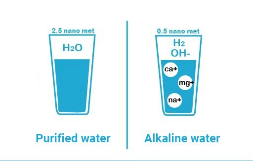 Comparison between alkaline water and purified water