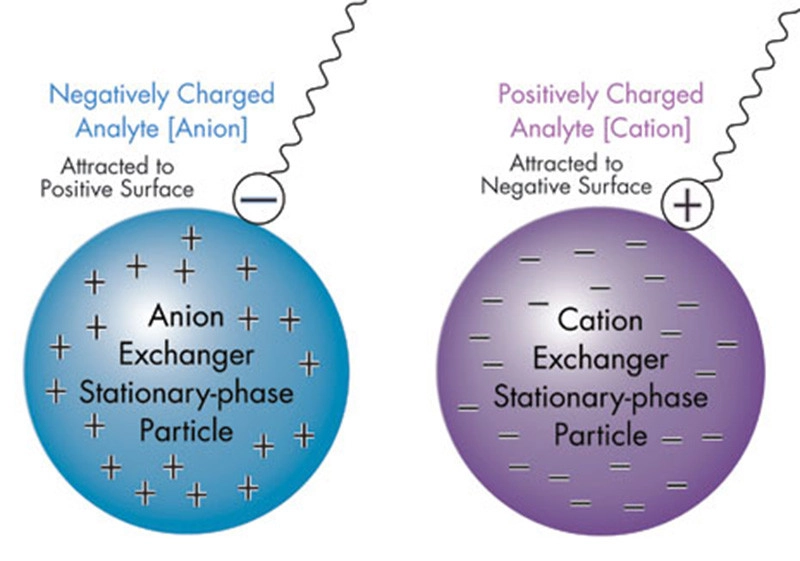 Ion exchange and positive impact on the body