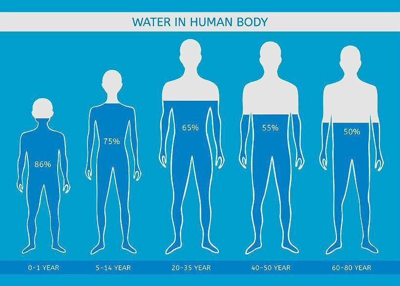 Water in the body varies based on individual factors