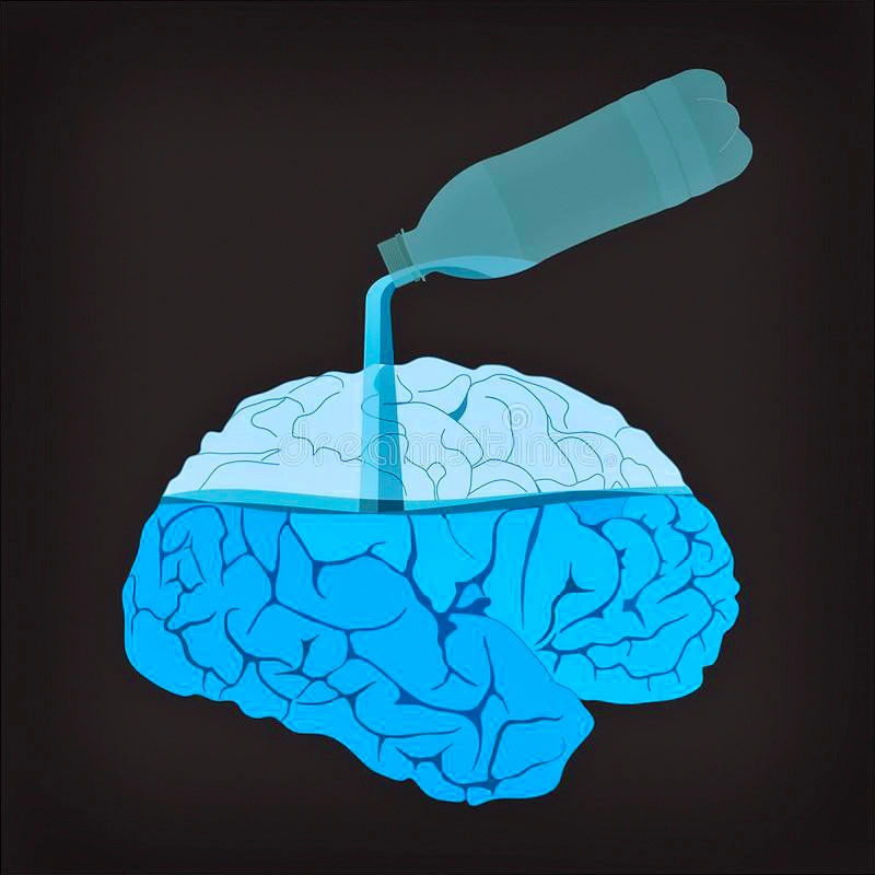 Water constitutes the brain