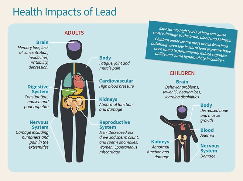 Unforeseen consequences of using lead-contaminated water