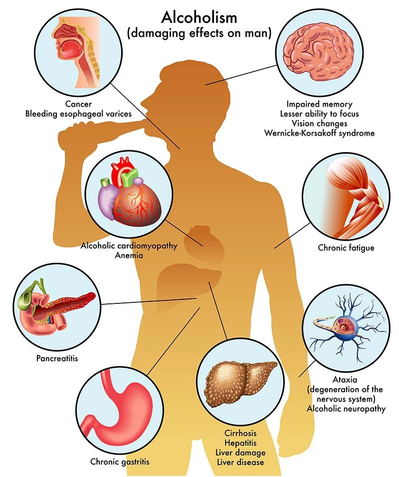 How does alcohol harm the body