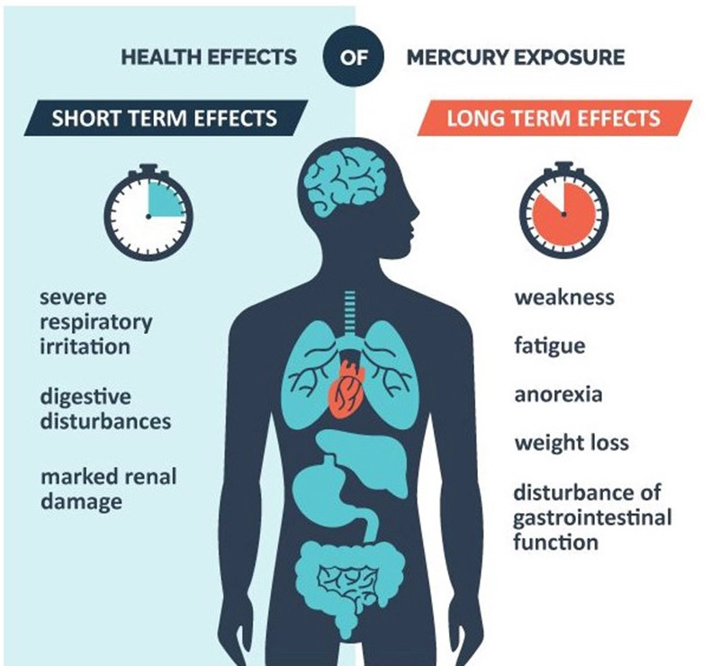 health effects of mercury