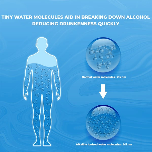 Tiny water molecules aid in breaking down alcohol, reducing drunkenness quickly