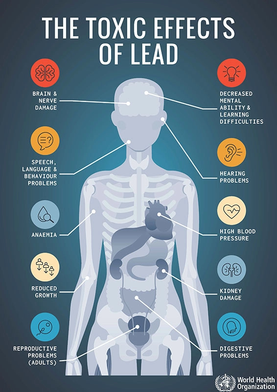 the toxic effects of lead