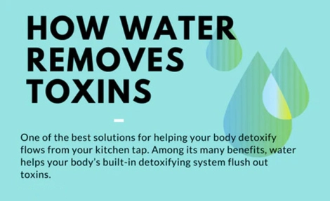 how-water-removes-toxins