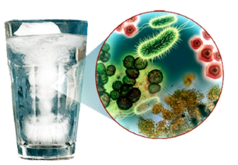 microbes-in-drinking-water