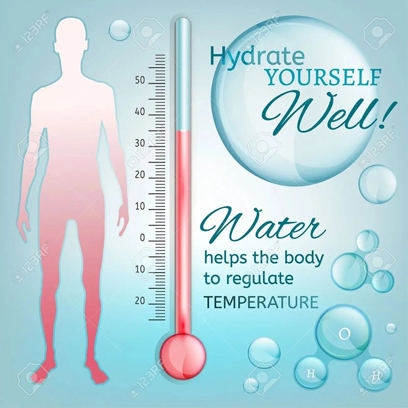 Water regulates body temperature