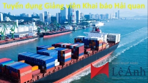 giang-vien-khai-bao-hai-quan