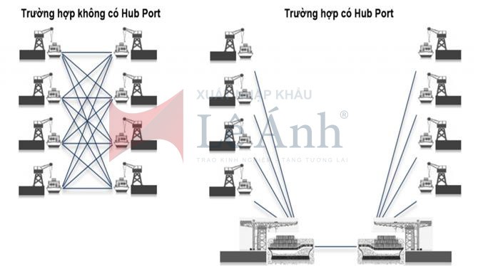 hub port là gì