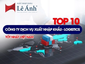 top-10-cong-ty-dich-vu-xuat-nhap-khau-logistics-tot-nhat-viet-nam