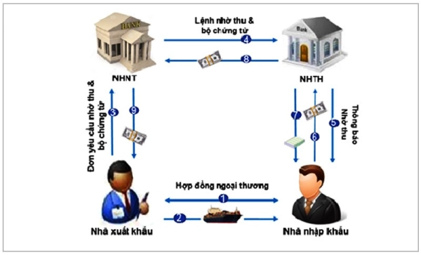 Amazon KDP là gì - Hướng dẫn chi tiết xuất bản sách trực tuyến