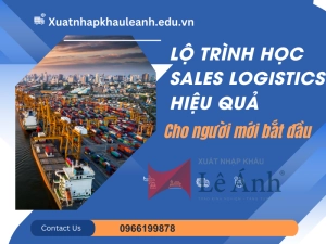 lo-trinh-hoc-sales-logistics.png
