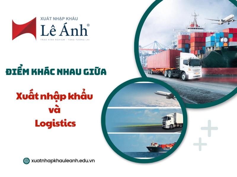 diem-khac-nhau-giua-xuat-nhap-khau-va-logistics.png