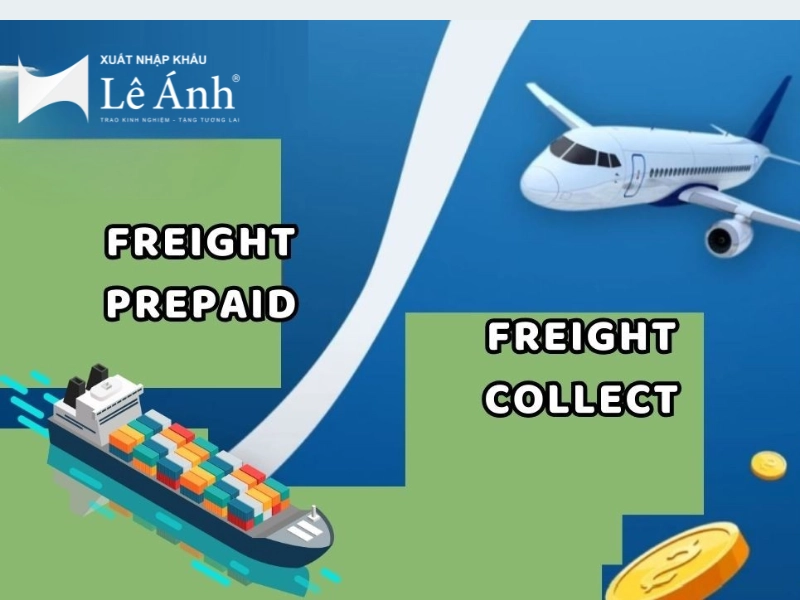 Freight Collect Là Gì? Cách Thanh Toán Cước Phí Tại Nơi Đến