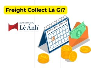 freight-collect-la-gi.png