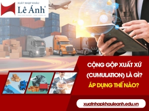 cong-gop-xuat-xu-cumulation-la-gi.png