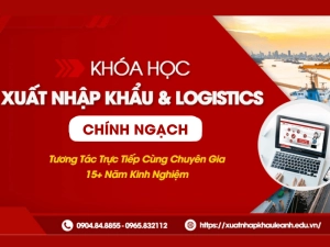 khoa-hoc-xuat-nhap-khau-chinh-ngach.png