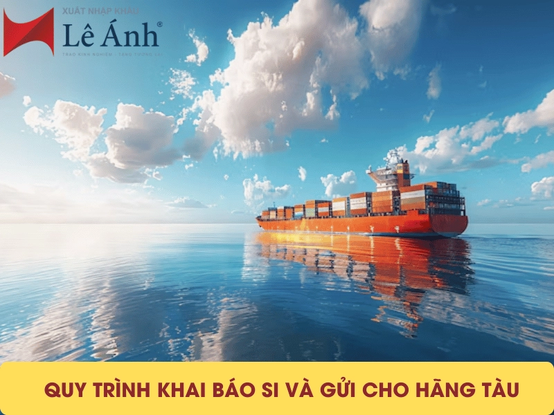 quy-trinh-khai-bao-si.png