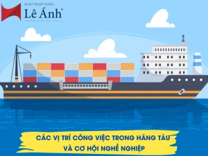 cac-vi-tri-cong-viec-trong-hang-tau.png