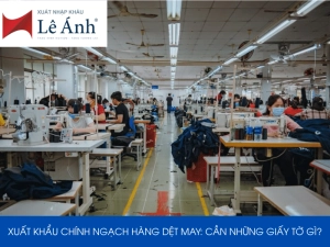 xuat-nhap-khau-chinh-ngac-hang-det-may.png