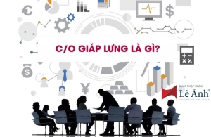 c-o-giap-lung
