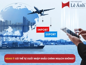 hang-it-co-the-tu-xuat-nhap-khau-chinh-ngach-khong.png