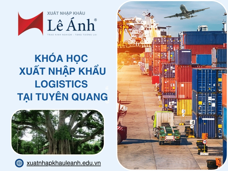 khoa-hoc-xuat-nhap-khau-logistics-tai-tuyen-quang.png