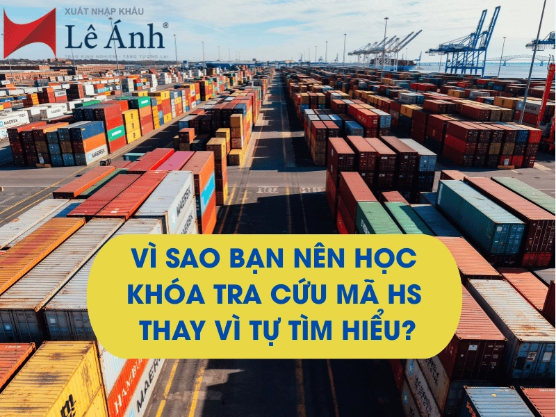 vi-sao-ban-nen-hoc-khoa-tra-cuu-ma-hs-thay-vi-tu-tim-hieu.png