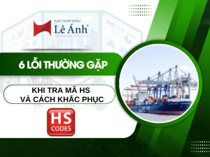 6-loi-thuong-gap-khi-tra-cuu-ma-hs-va-cach-khac-phuc.png